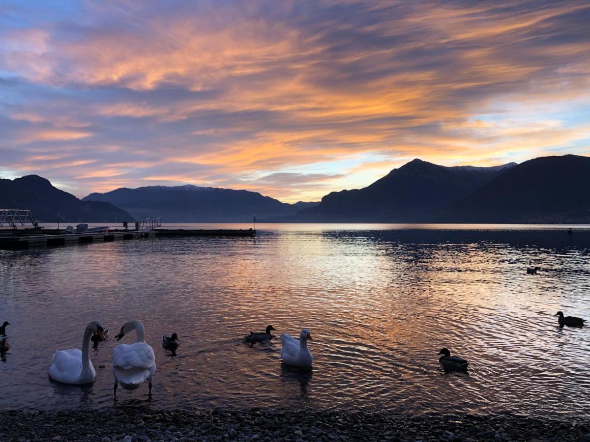 Bellavista Giulia On Lake Como ديرفيو المظهر الخارجي الصورة